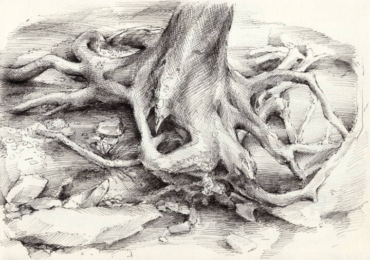 Drawing titled "Roots and silent fo…" by Adriana Mueller, Original Artwork, Ink