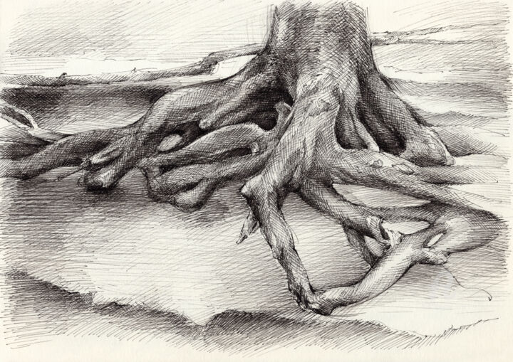 Drawing titled "Roots and silent fo…" by Adriana Mueller, Original Artwork, Ink