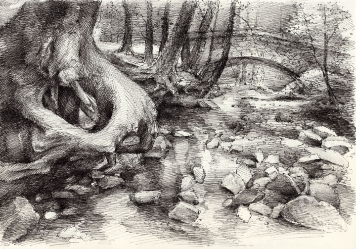 「Roots and silent fo…」というタイトルの描画 Adriana Muellerによって, オリジナルのアートワーク, インク