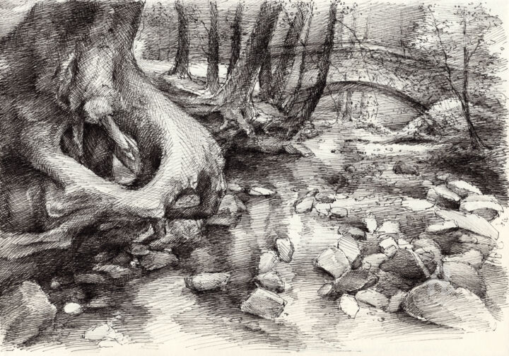 Drawing titled "Roots and silent fo…" by Adriana Mueller, Original Artwork, Ink