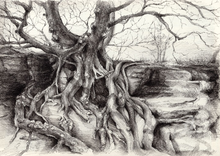 Drawing titled "Graceful tree that…" by Adriana Mueller, Original Artwork, Ink