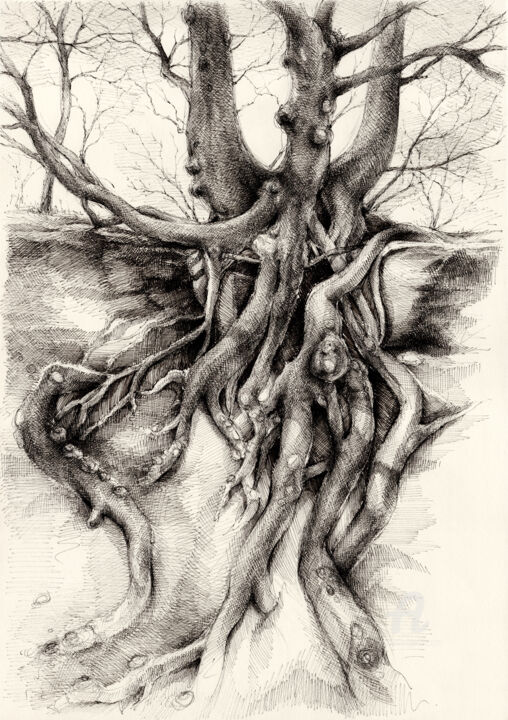 Dessin intitulée "Graceful tree that…" par Adriana Mueller, Œuvre d'art originale, Encre