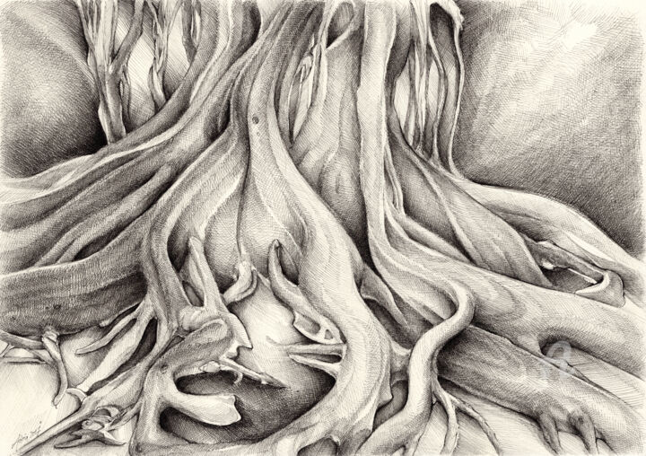 「Ficus Macrophylla I」というタイトルの描画 Adriana Muellerによって, オリジナルのアートワーク, インク