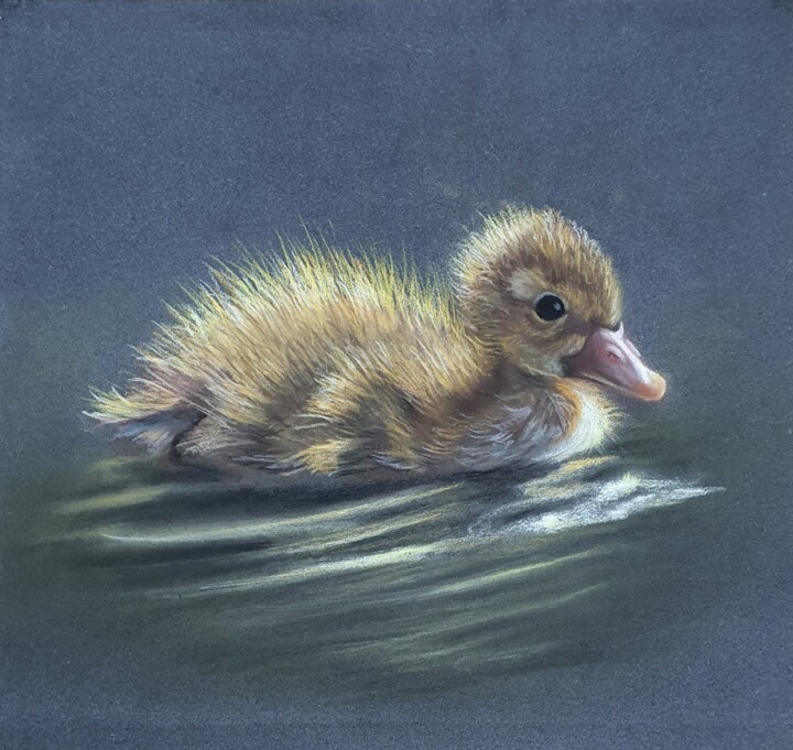 Pintura titulada "Duckling" por Vitalii Astapenko, Obra de arte original, Pastel