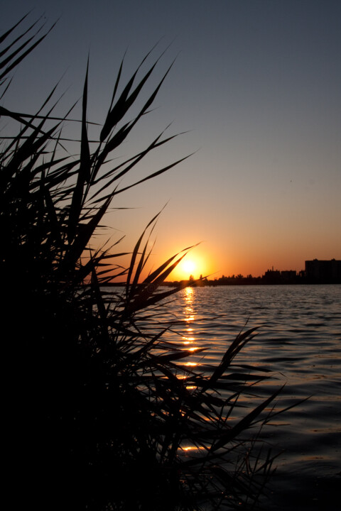 摄影 标题为“"Sunset"” 由Vitaly Moiseev, 原创艺术品, 数码摄影