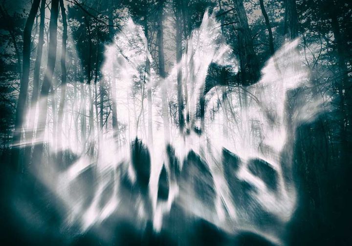 Photography titled "Forest Ghosts" by Vitomirov, Original Artwork, Digital Photography