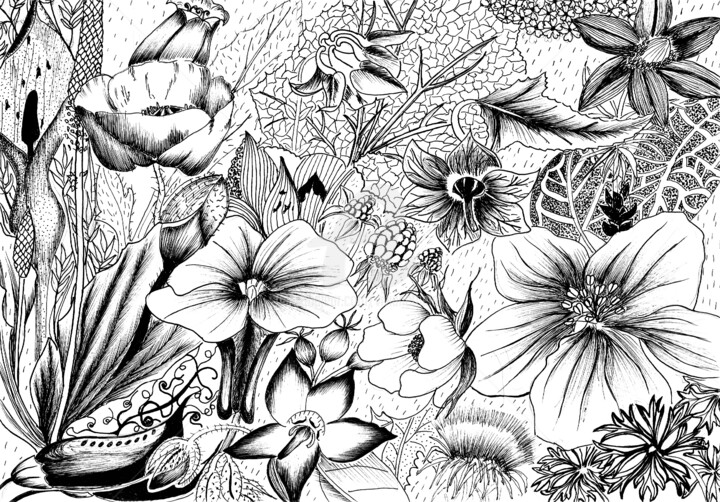 Drawing titled "Les fleurs" by Viviane Thelen, Original Artwork, Ink