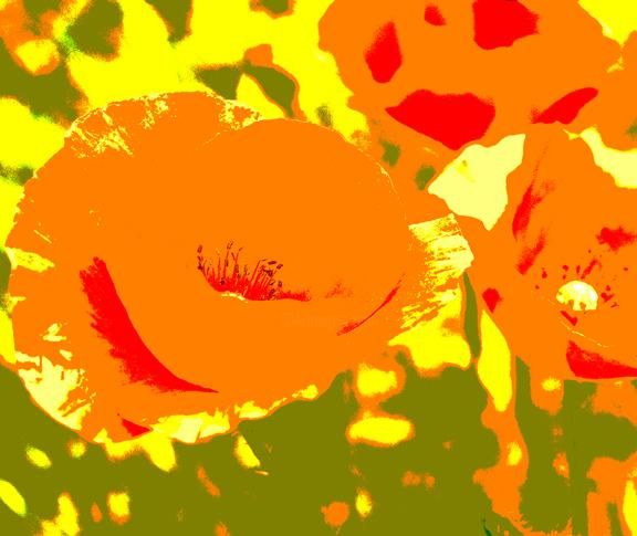 Arts numériques intitulée "Orange Poppies" par Vlad, Œuvre d'art originale, Peinture numérique