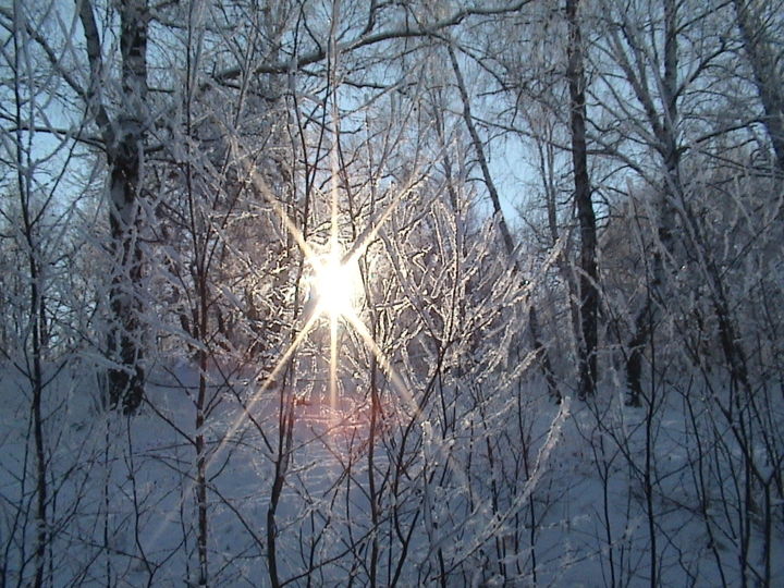 「Frost and sun/Мороз…」というタイトルの写真撮影 Vlada Levkinaによって, オリジナルのアートワーク, 操作されていない写真