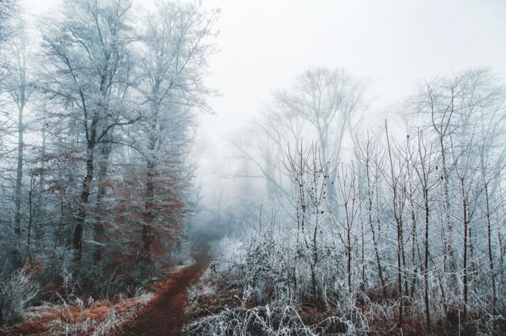 Fotografia intitolato "Winterwald" da Wladimir Jäger, Opera d'arte originale, Fotografia digitale