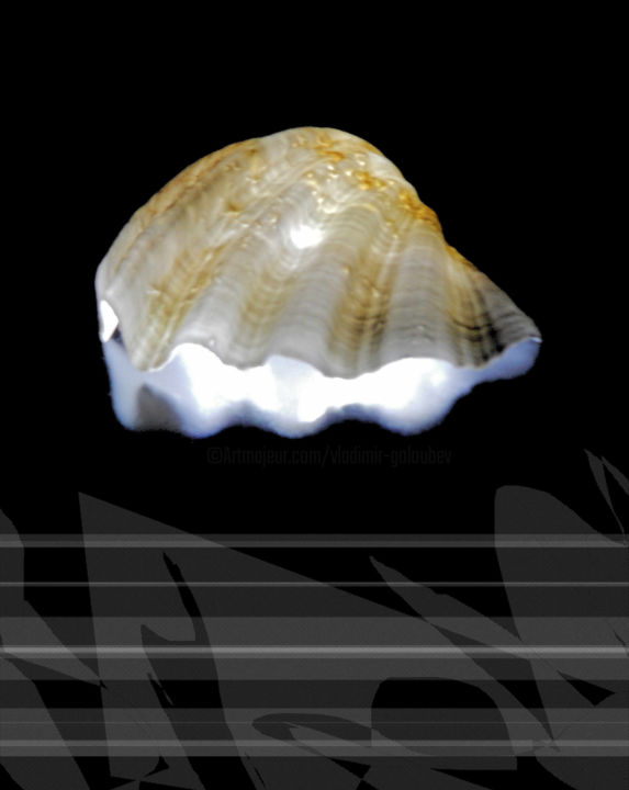 Grafika cyfrowa / sztuka generowana cyfrowo zatytułowany „Shell” autorstwa Théo Golb, Oryginalna praca