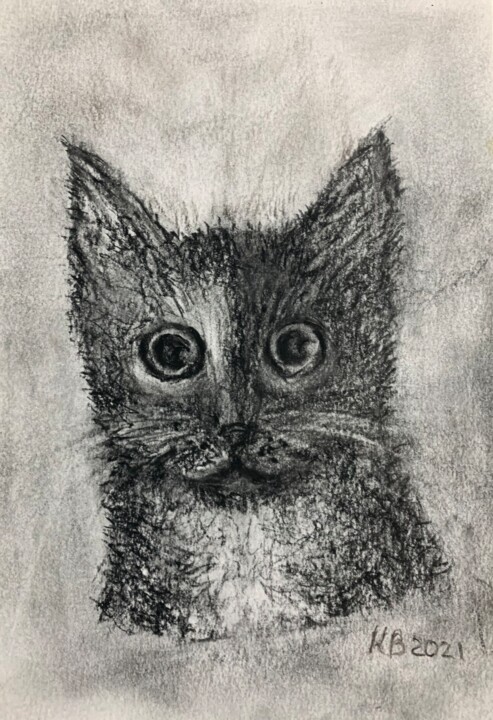 Drawing titled "Cat" by Vladimir Kolokolzew, Original Artwork, Charcoal