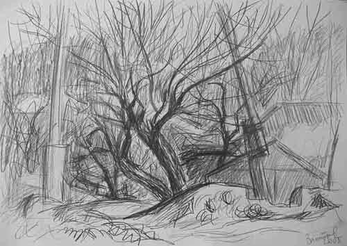 Disegno intitolato "Trees" da Vladimir Zagitov, Opera d'arte originale