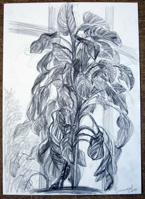 「plant」というタイトルの描画 Vladimir Zagitovによって, オリジナルのアートワーク