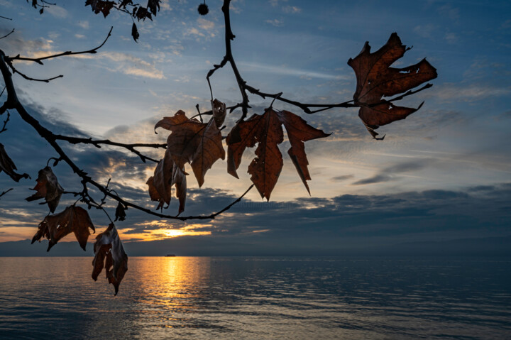 Fotografía titulada "sunset" por Vladoyan, Obra de arte original, Fotografía digital