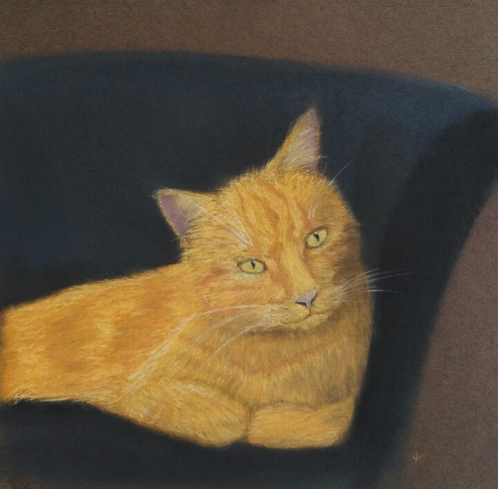 Peinture intitulée "Chat Mplé" par Véronique Lenfant, Œuvre d'art originale, Pastel