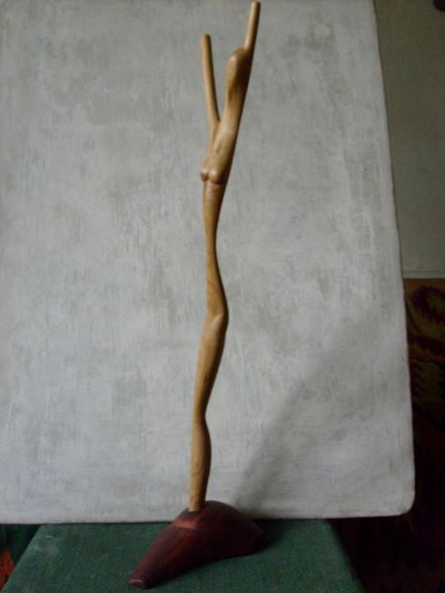Sculpture titled "Torso" by Volodymyr Kanarskyi, Original Artwork, Wood