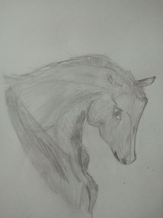 Drawing titled "Конь в графите" by Anastasiia Sergievskaia, Original Artwork, Graphite