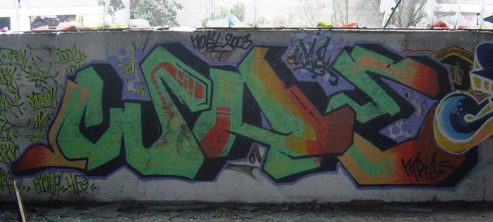Schilderij getiteld "wae-graffiti" door Graffiti Wae, Origineel Kunstwerk, Olie