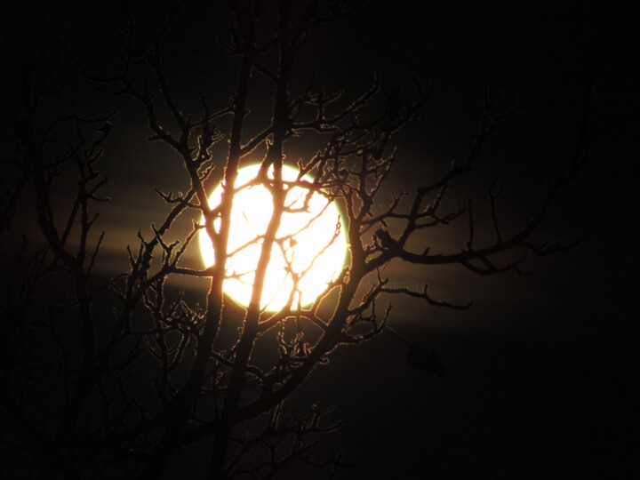 Fotografie getiteld "lune5" door Bernard Waechter, Origineel Kunstwerk, Niet gemanipuleerde fotografie