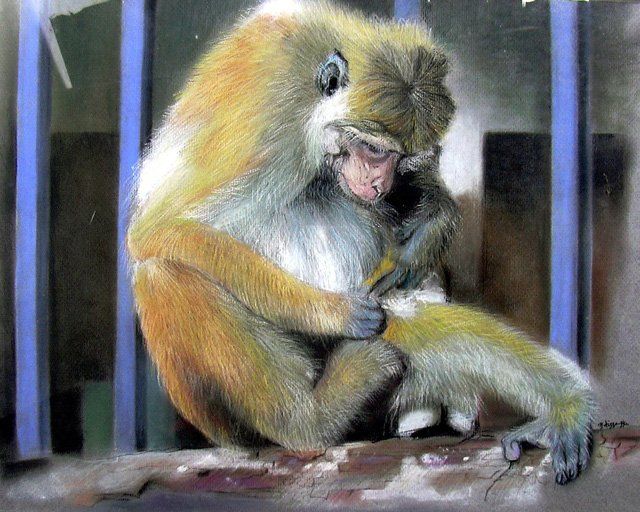 Schilderij getiteld "monkey" door Nimali Dissanayaka, Origineel Kunstwerk, Pastel