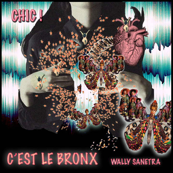 Цифровое искусство под названием "chic c'est le bronx" - Wally Sanetra, Подлинное произведение искусства, 2D Цифровая Работа