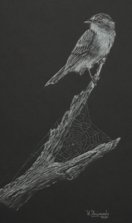 Rysunek zatytułowany „Fly Cast” autorstwa Walter Ahumada, Oryginalna praca, Ołówek