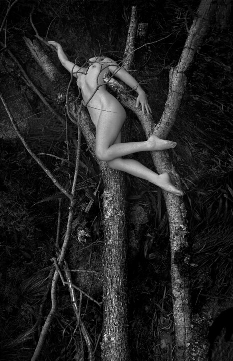 "Soledad - Branches" başlıklı Fotoğraf Walter Bosque tarafından, Orijinal sanat, Dijital Fotoğrafçılık