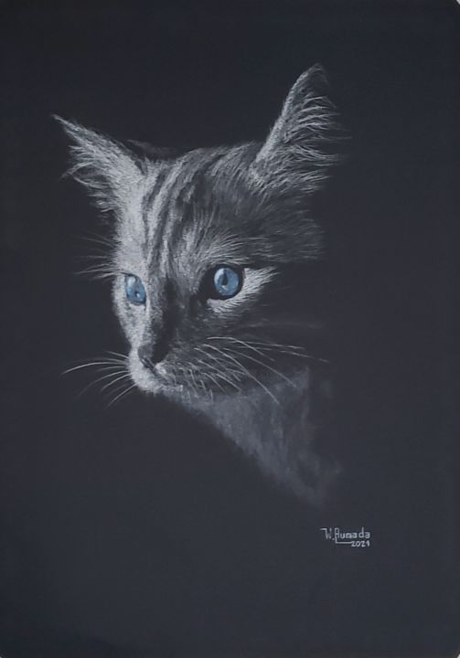 Dibujo titulada "Sky" por Walter Ahumada, Obra de arte original, Lápiz