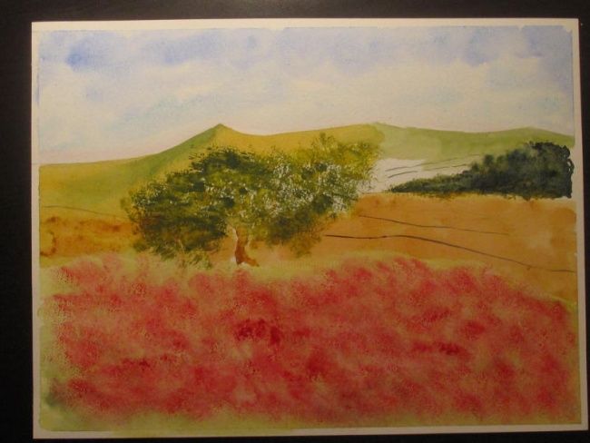 Painting titled "provence" by Watercolorwalt, Original Artwork, Oil