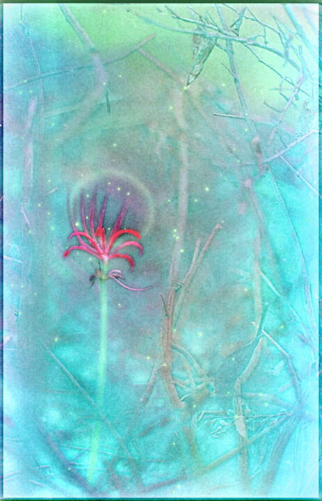 Digital Arts titled "SPIDER LILY 03" by Weedsxyz, Original Artwork, 2D Digital Work