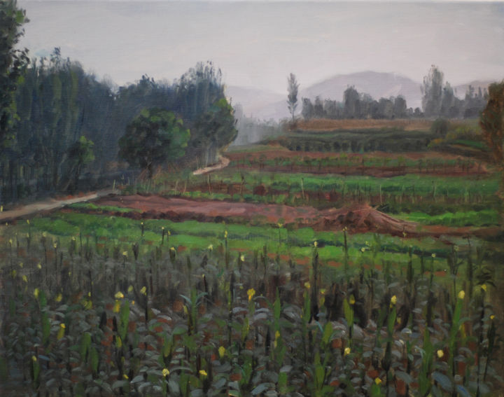 Painting titled "Fields of Corn" by Wei Jia, Original Artwork, Oil