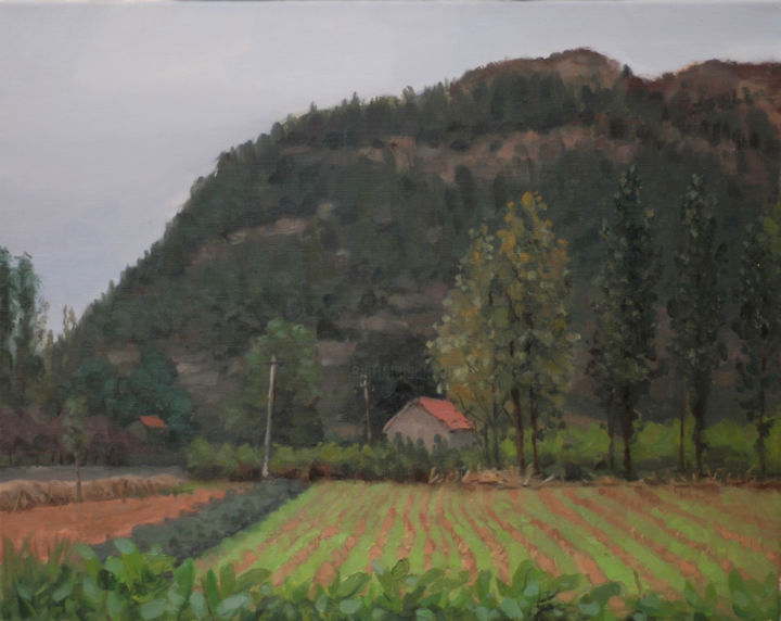 Painting titled "The Field" by Wei Jia, Original Artwork, Oil