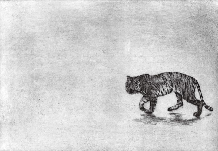 Gravures & estampes intitulée "tigre.jpg" par Wei Jiang, Œuvre d'art originale