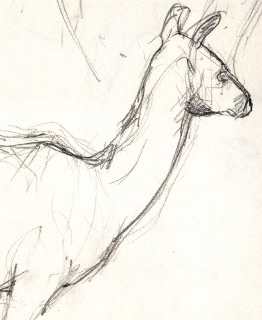 Dessin intitulée "animaux7.jpg" par Sandrine Wely, Œuvre d'art originale,