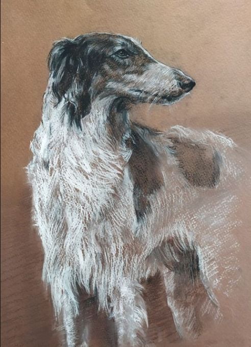 Картина под названием "Собака" - Юлия Лощенова, Подлинное произведение искусства, Пастель