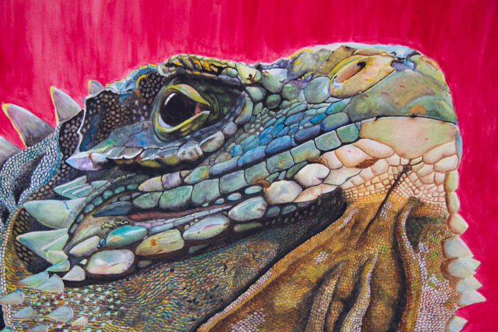 Painting titled "Iguana I" by Wilfredo Rolando Shimura Sakazaki, Original Artwork, Watercolor