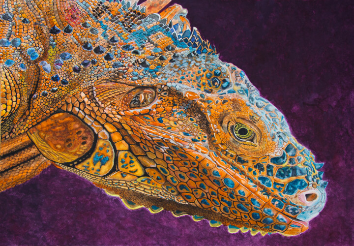 "Iguana II" başlıklı Tablo Wilfredo Rolando Shimura Sakazaki tarafından, Orijinal sanat, Suluboya