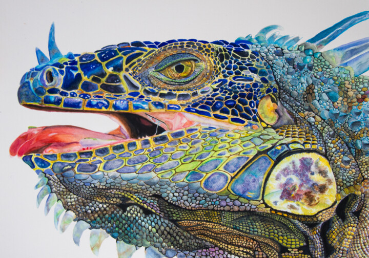 Картина под названием "Iguana III" - Wilfredo Rolando Shimura Sakazaki, Подлинное произведение искусства, Акварель