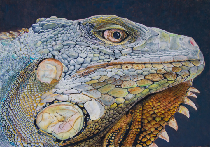 Painting titled "Iguana IV" by Wilfredo Rolando Shimura Sakazaki, Original Artwork, Watercolor