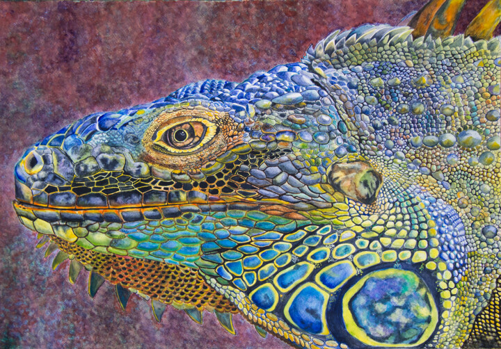 "Iguana V" başlıklı Tablo Wilfredo Rolando Shimura Sakazaki tarafından, Orijinal sanat, Suluboya