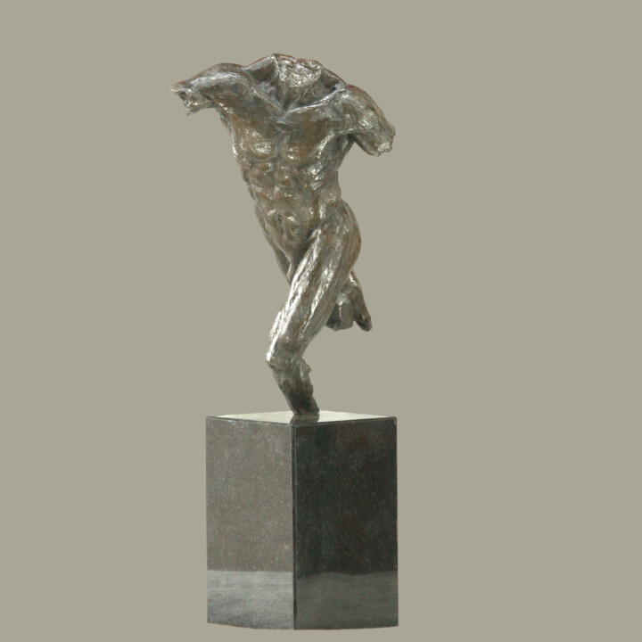 Sculptuur getiteld "Liberation" door Willem Botha, Origineel Kunstwerk, Bronzen