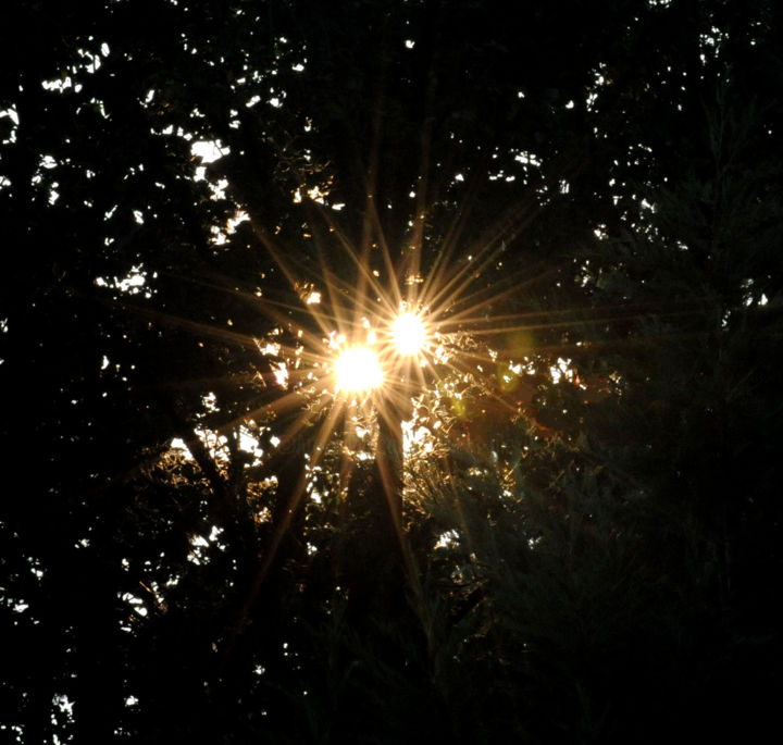 Photography titled "Sunburst.jpg" by William Olexik, Original Artwork, Digital Photography