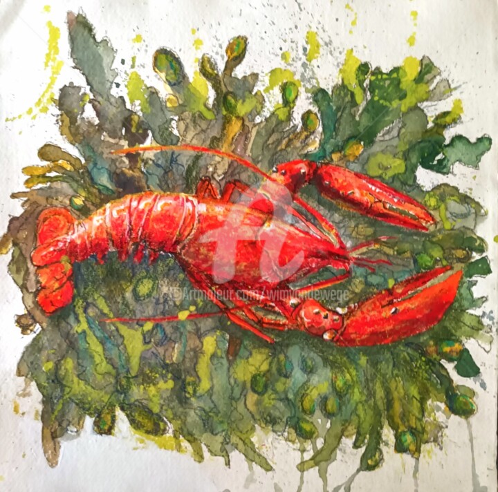 Peinture intitulée "Lobster on seaweed" par Wimvandewege, Œuvre d'art originale, Gouache