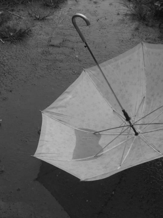 Photography titled "THE RAIN" by Wira Ariw, Original Artwork