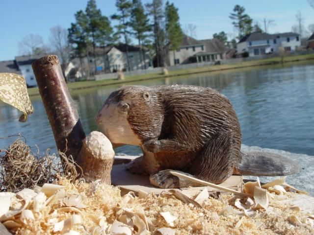 Sculpture titled "beaver at play" by Jim Calder, Original Artwork