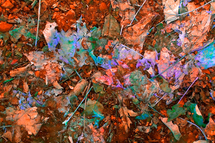 Photography titled "22.12.13" by Bill Karrow, Original Art, Other