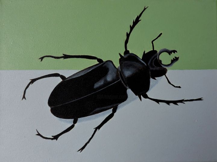 Painting titled "beetle" by Antoni Janusz Wojnarowski, Original Artwork, Oil