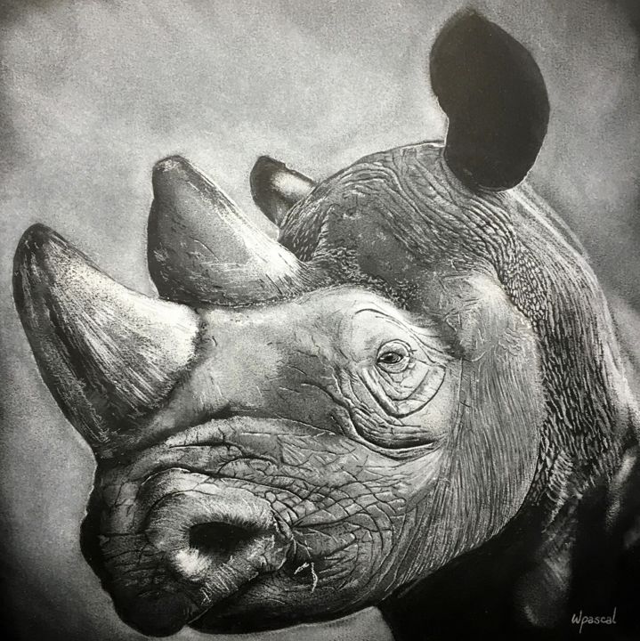 Tekening getiteld "Rhinocéros" door Wpascal, Origineel Kunstwerk, Pastel