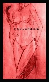 Disegno intitolato "Eve's Revenge" da Wolf Kesh, Opera d'arte originale, Altro